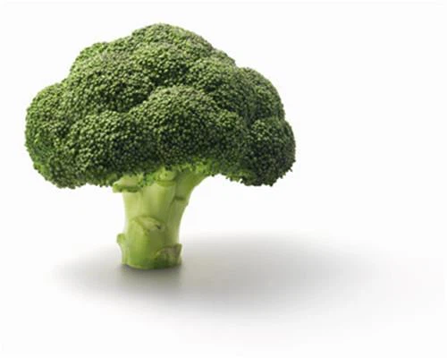 Frozen Broccoli Florets