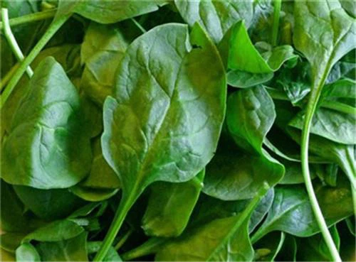 Frozen Spinach Chunk