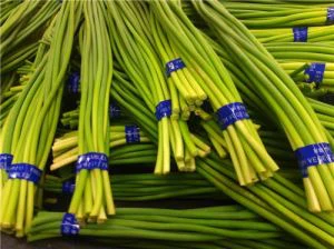 Frozen Garlic Sprouts Cuts